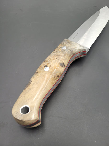 Ready to ship Bushman Knife (Buckeye burl scales)